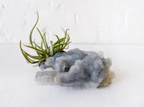 10% SALE Chalcedony India Mineral Fuzzy Air Plant Clump Crystal Garden