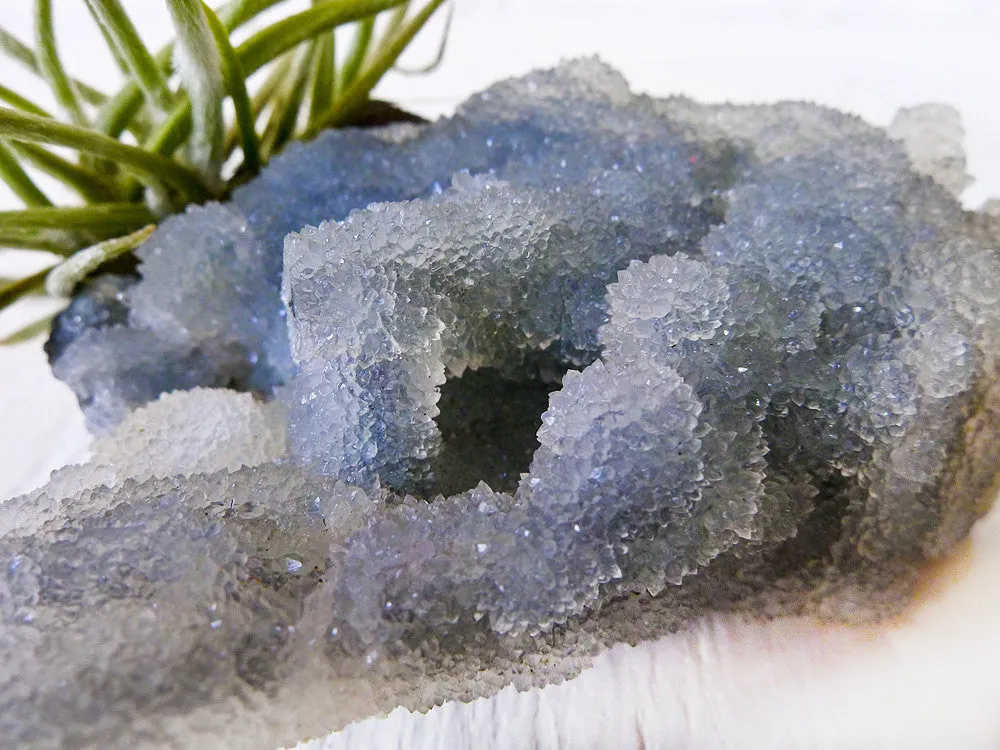 10% SALE Chalcedony India Mineral Fuzzy Air Plant Clump Crystal Garden