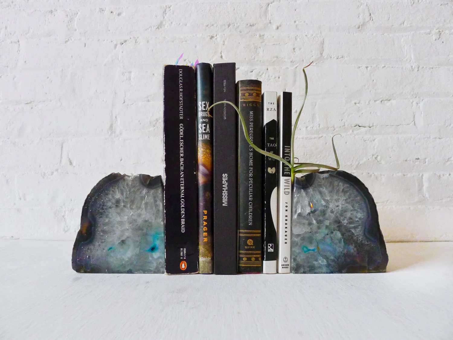 Air Plant Planetary Storm Magic Book Ends - Crystal Bookends Air Plant Garden