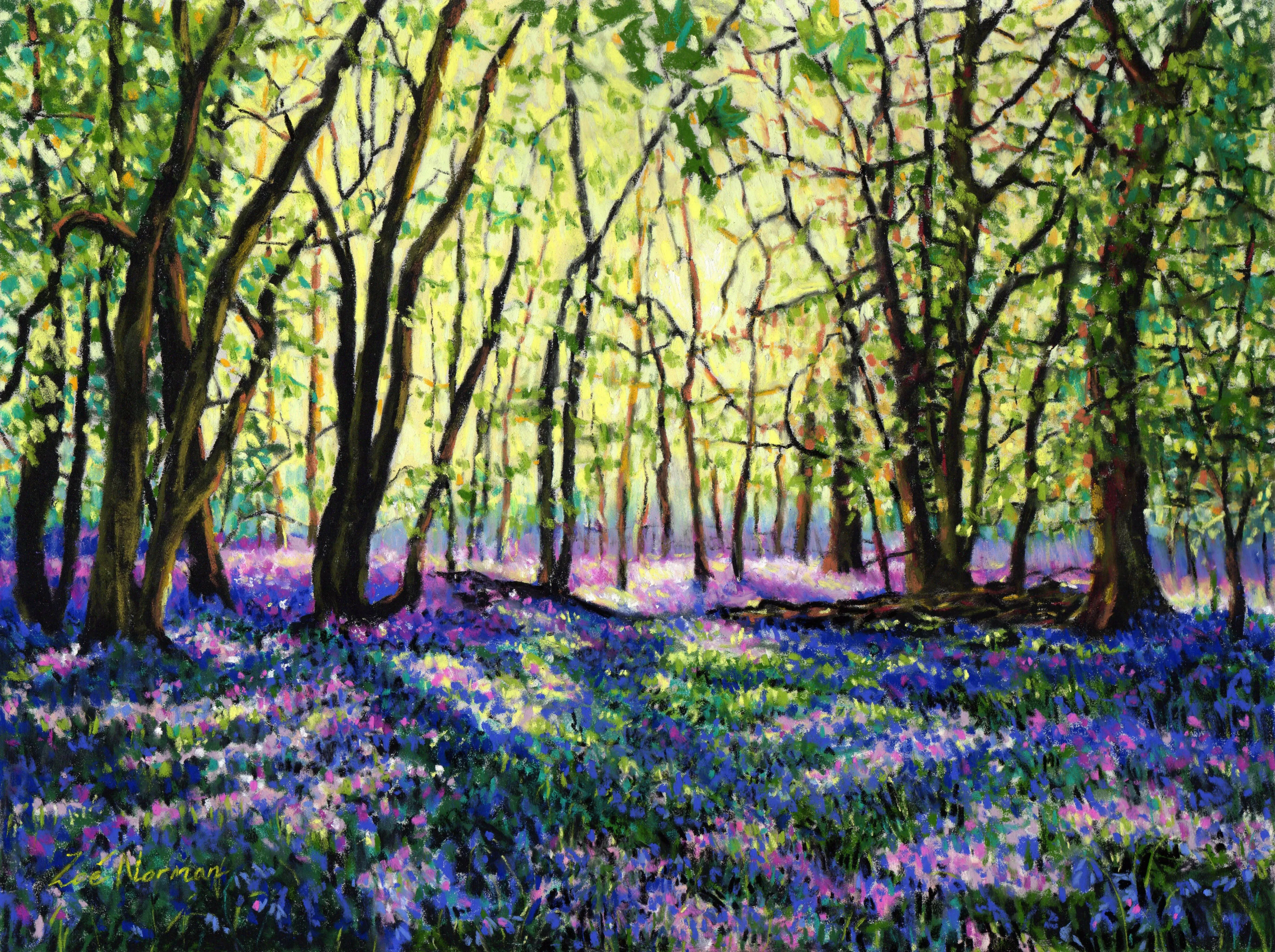 Bluebell Glade - Print