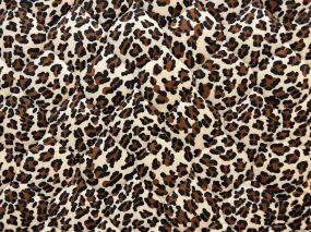 Luxury Minky Fur Beds - Animal Prints