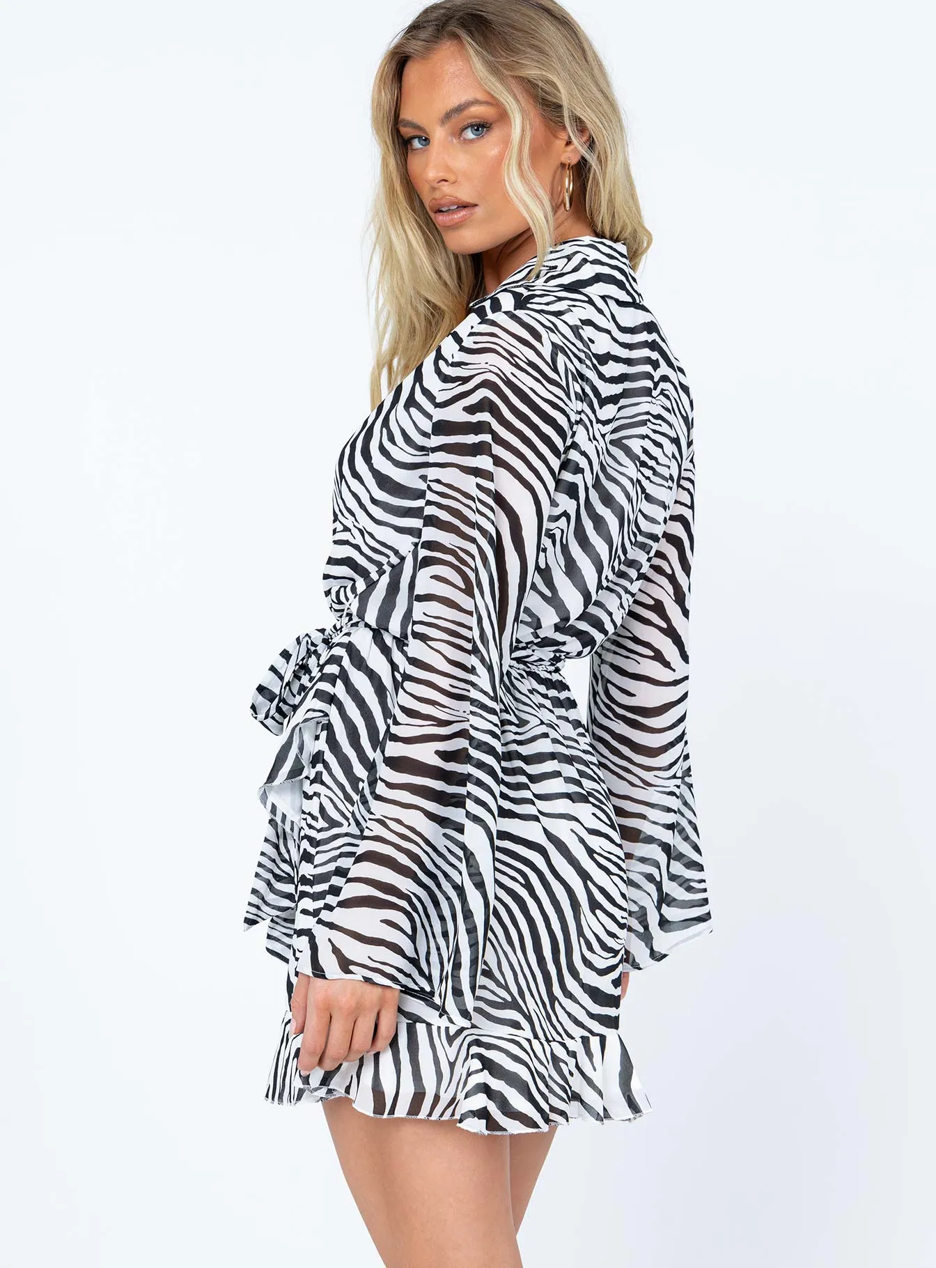 Marty Long Sleeve Mini Dress Zebra