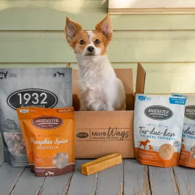 More Wags FALL Treatbox for Dogs (over $113 Value) dog not included ;)