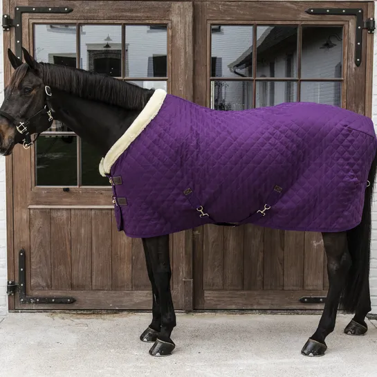 Show Rug Royal Purple