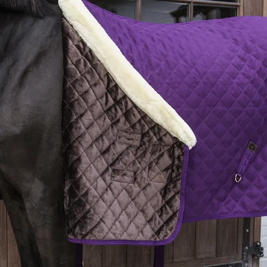 Show Rug Royal Purple