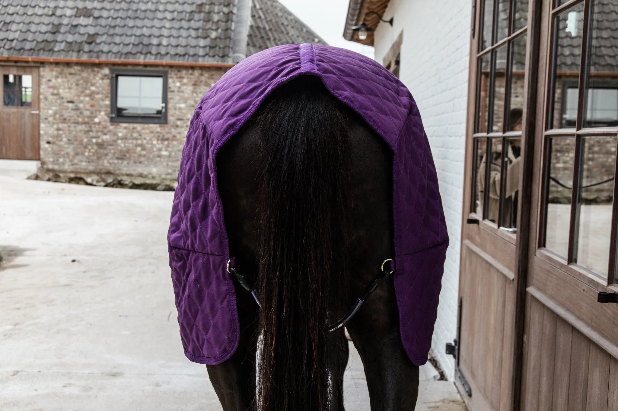 Show Rug Royal Purple