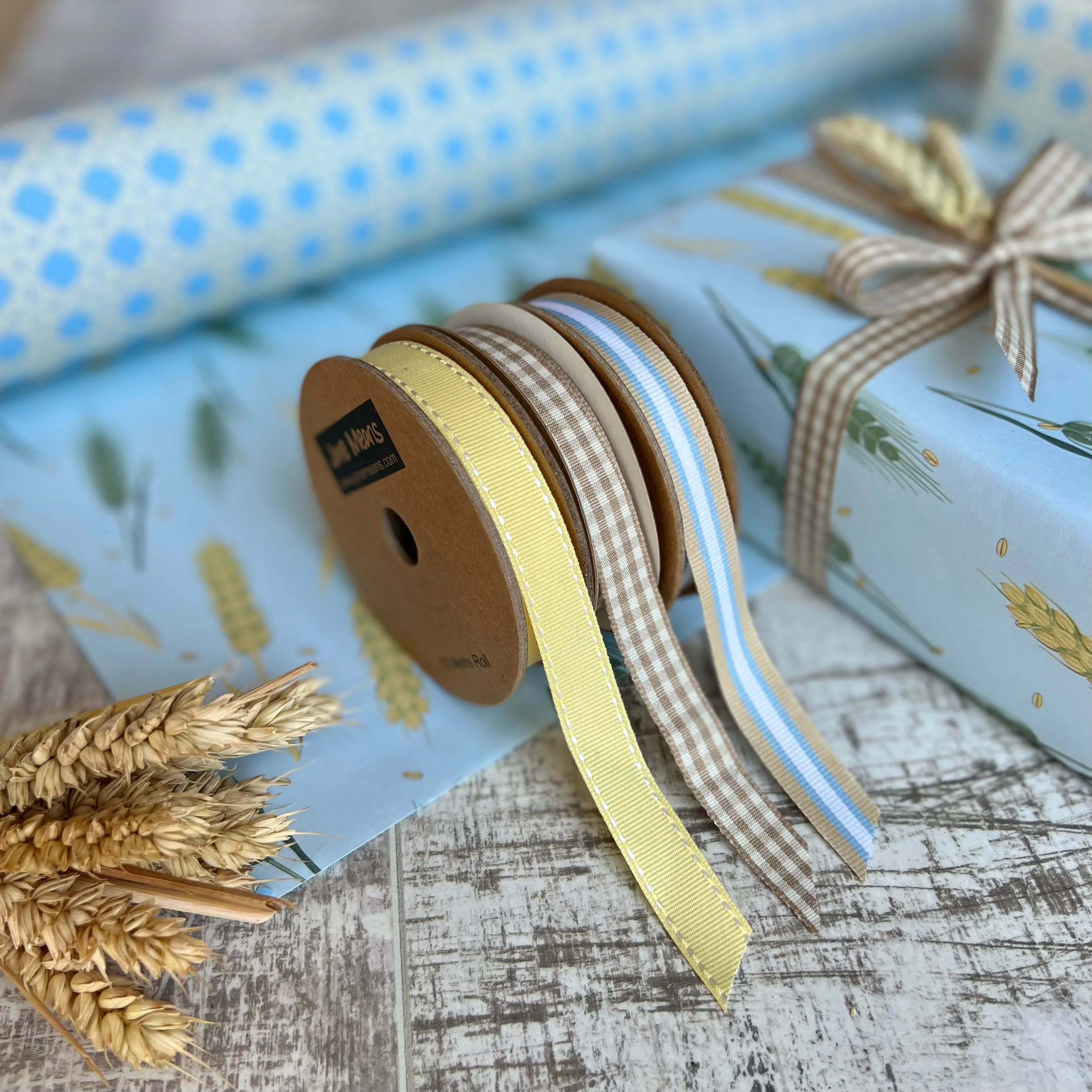 Summer Harvest Gift Wrapping Set