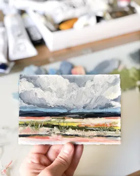 Tiny Stormy Super Bloom Landscape