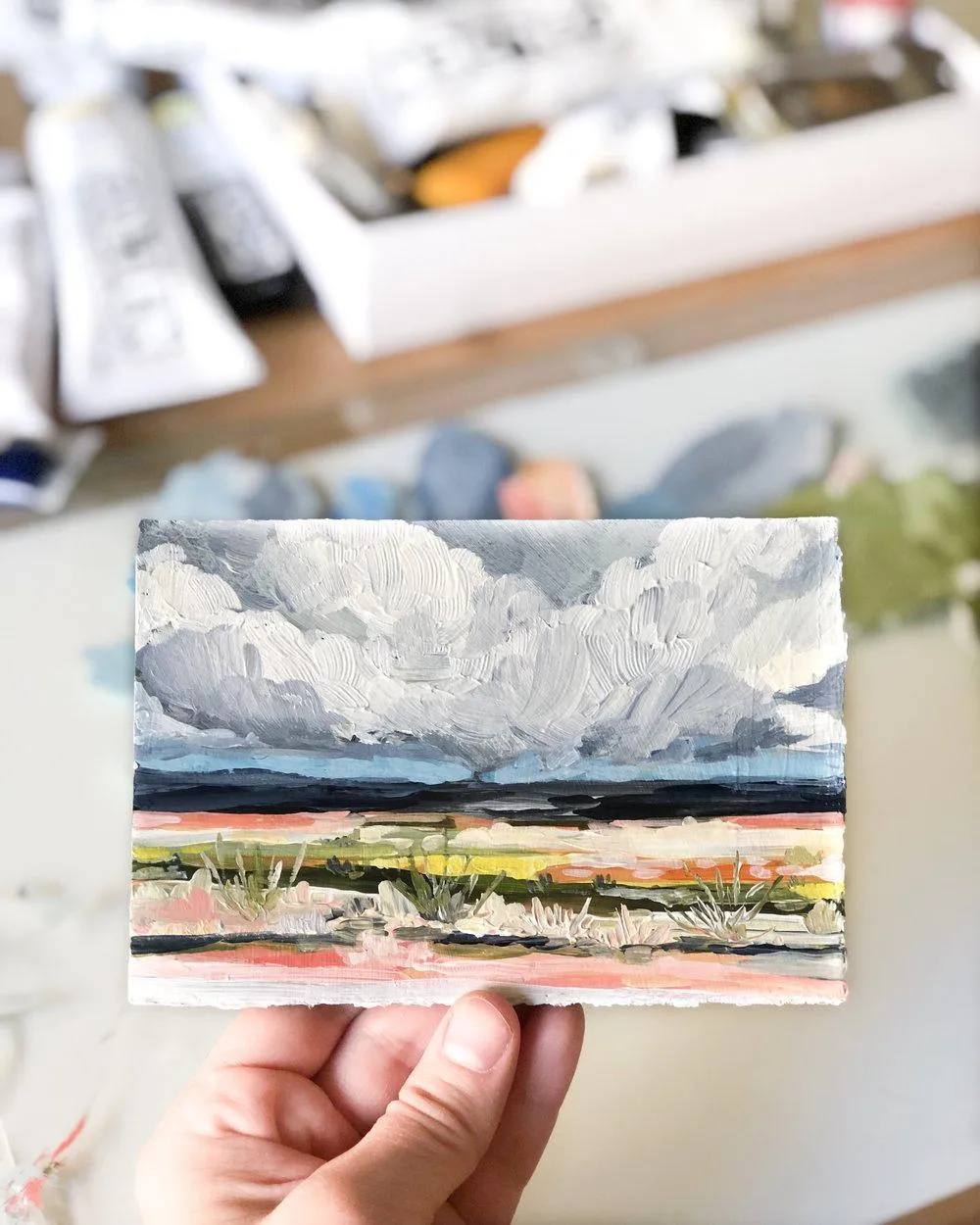 Tiny Stormy Super Bloom Landscape